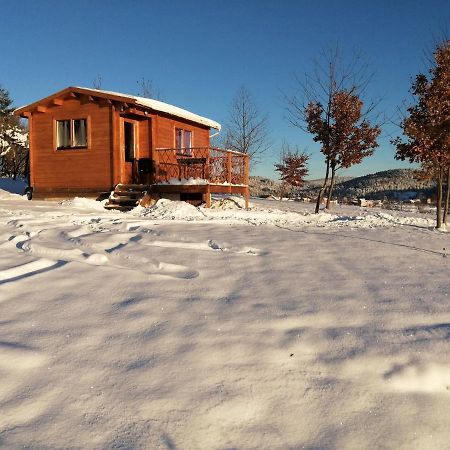 Le Chalet Des Etoiles Champagnac-le-Vieux Екстериор снимка