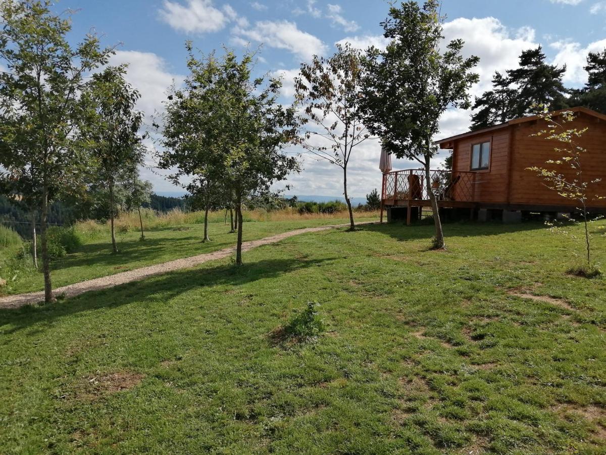 Le Chalet Des Etoiles Champagnac-le-Vieux Екстериор снимка